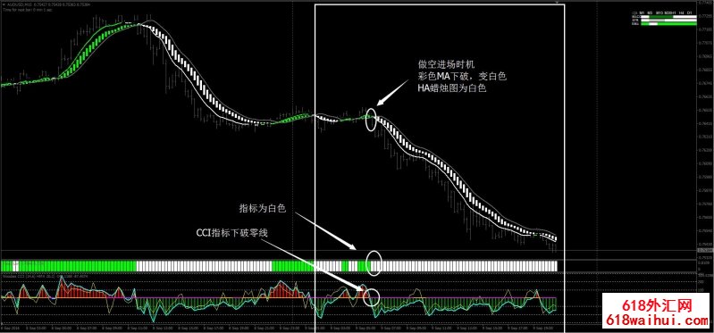 绿火外汇交易系统