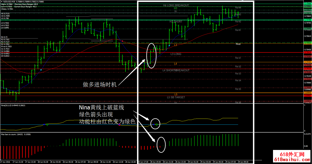 CATFX50 Forex Trading System外汇交易