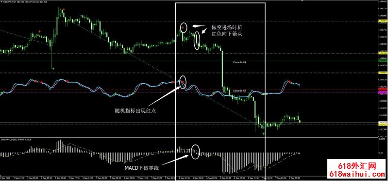 Tiong7外汇交易系统